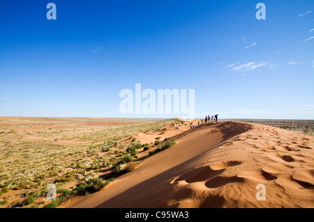 Dunes de sable dans le Simpson Desert National Park. Birdsville, Queensland, Australie Banque D'Images