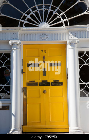 République d'Irlande, Dublin, Merrion Square, porte géorgienne Banque D'Images