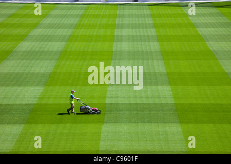 République d'Irlande, Dublin, pulvérisation Greenkeeper Jeu dans l'Aviva Stadium Banque D'Images