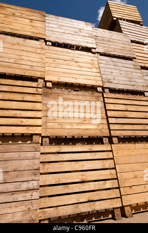 Boîtes de stockage de pommes de terre empilées Banque D'Images