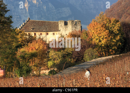 Castello di Monreale (château), région du Trentin, Italie Banque D'Images