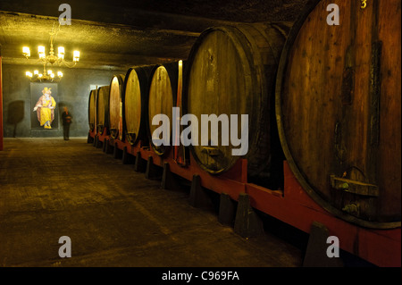 Vieillissement en fûts de vin aux Caves Aliança cave, Sangalhos, Portugal, Europe Banque D'Images