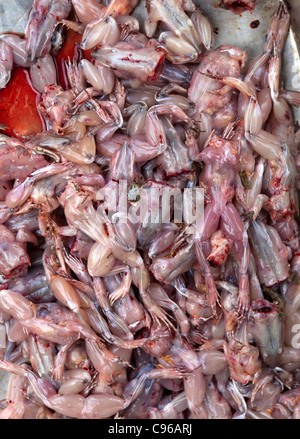 Grenouille de matières premières sur le marché de la viande à vendre à Phnom Penh au Cambodge Banque D'Images