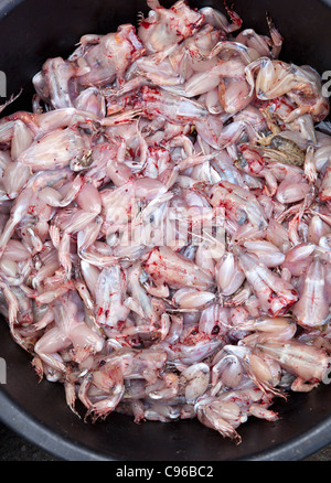 Grenouille de matières premières sur le marché de la viande à vendre à Phnom Penh au Cambodge Banque D'Images