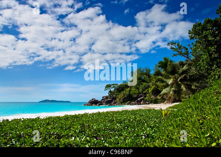 Paradise beach Seychelles Praslin Banque D'Images
