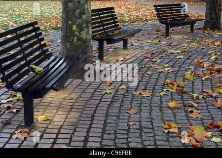 Des bancs en bois et les troncs des arbres parmi les feuilles tombées sur un chemin en brique Banque D'Images