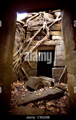 Ruines à Angkor Thom, Angkor Wat, au Cambodge Banque D'Images