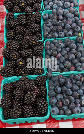 This vertical stock image is freshly picked pints of blueberries and black hull berries. Fresh, fruit summer favorite food. Banque D'Images