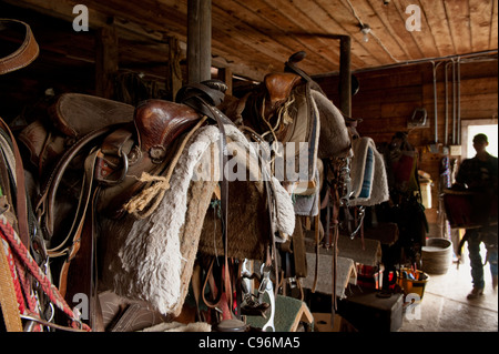 Un cowboy renvoie une selle pour la sellerie maison après un long voyage dans les montagnes de l'Est de Washington. Banque D'Images