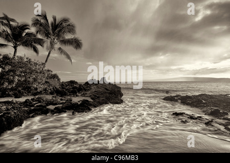 Coucher Soleil nuages et des vagues avec des palmiers. Maui, Hawaii. Banque D'Images