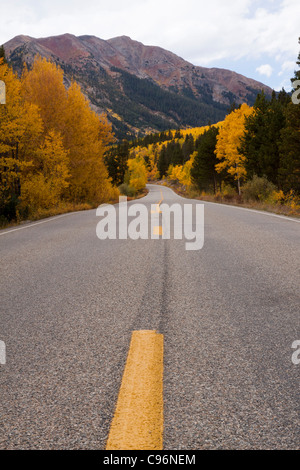 Scenic Route à travers les Montagnes Rocheuses du Colorado avec jaune d'trembles et les conifères en automne Banque D'Images