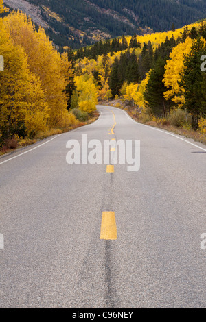 Scenic Route à travers les Montagnes Rocheuses du Colorado avec jaune d'trembles et les conifères en automne Banque D'Images