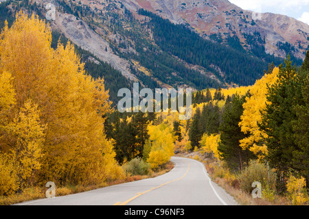 Scenic Route à travers les Montagnes Rocheuses du Colorado avec jaune d'trembles et les conifères en automne Banque D'Images