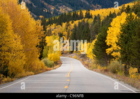 Scenic Route à travers les Montagnes Rocheuses du Colorado avec jaune d'trembles et les conifères en automne Banque D'Images