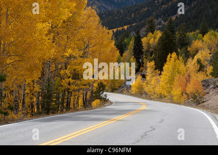 Scenic route courbée à travers les Montagnes Rocheuses du Colorado avec jaune d'trembles et les conifères en automne Banque D'Images