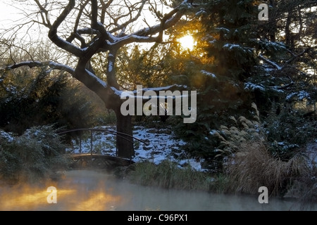 Belle scène d'hiver dans le coucher du soleil avec la vapeur geothermical étang , petit pont et bold Arbre de chêne dans le jardin japonais Banque D'Images