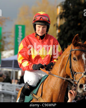 RACHEL GREEN JOCKEY L'hippodrome de Cheltenham CHELTENHAM ANGLETERRE 12 Novembre 2011 Banque D'Images