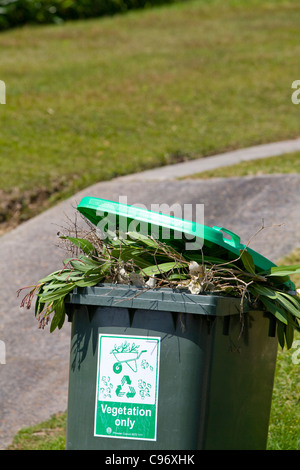 Déchets de jardin en attente de collecte conseil, Sydney, Australie Banque D'Images