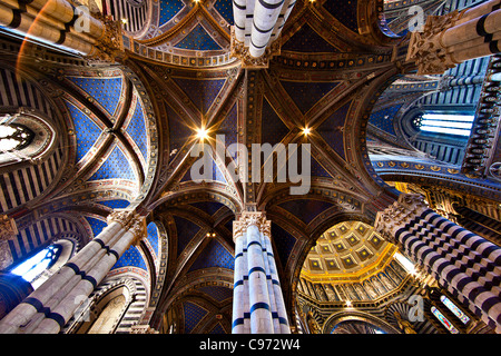 Sainte Marie de plafond d'Assomption, Cathédrale de Santa Maria Assunta, Duomo di Siena, Toscane, Italie, Europe. La Cathédrale de Sienne Banque D'Images