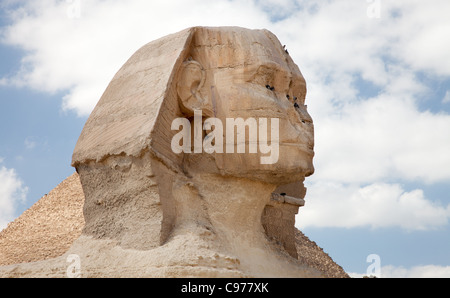 Vue du Sphinx sur fond des pyramides de Gizeh Banque D'Images