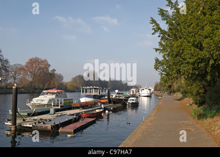 Afficher le long de la thames path à côté de la Tamise en direction de Kingston upon Thames, Surrey, Angleterre Banque D'Images