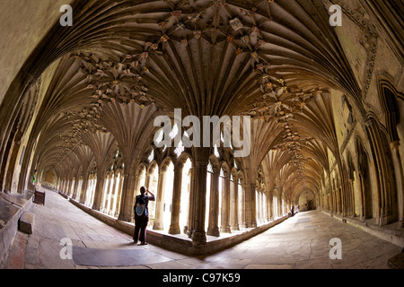 Cloîtres, La Cathédrale de Canterbury, Kent, England, UK, Royaume-Uni, GO, Grande-Bretagne, British Isles, Europe, Banque D'Images