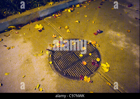 Les feuilles d'automne percevoir plus d'un collecteur d'eaux pluviales dans un parc dans le quartier de Chelsea à New York Banque D'Images