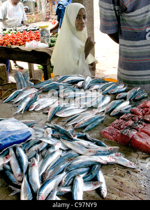 L'Afrique. Zanzibar. La Ville En Pierre. Une jeune fille en face de poisson frais pour la vente au marché local. Banque D'Images