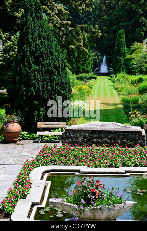 Les Jardins Botaniques de Villa Taranto,,conçu par le capitaine McEacharn,Scotsman 1884-1964,Palanza,Lac Majeur,lacs italiens, Italie Banque D'Images