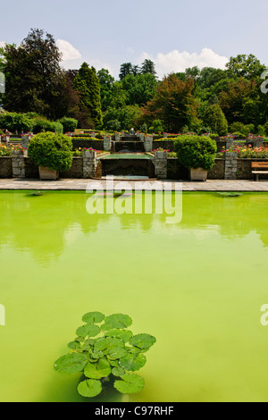 Les Jardins Botaniques de Villa Taranto,,conçu par le capitaine McEacharn,Scotsman 1884-1964,Palanza,Lac Majeur,lacs italiens, Italie Banque D'Images