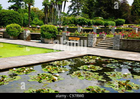Les Jardins Botaniques de Villa Taranto,,conçu par le capitaine McEacharn,Scotsman 1884-1964,Palanza,Lac Majeur,lacs italiens, Italie Banque D'Images
