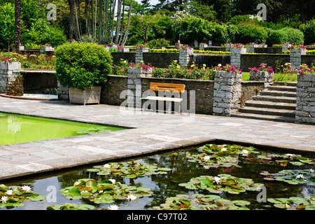 Les Jardins Botaniques de Villa Taranto,,conçu par le capitaine McEacharn,Scotsman 1884-1964,Palanza,Lac Majeur,lacs italiens, Italie Banque D'Images