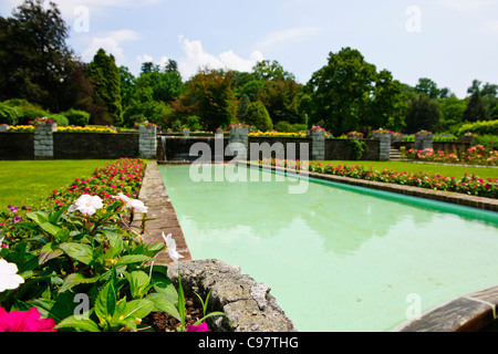 Les Jardins Botaniques de Villa Taranto,,conçu par le capitaine McEacharn,Scotsman 1884-1964,Palanza,Lac Majeur,lacs italiens, Italie Banque D'Images