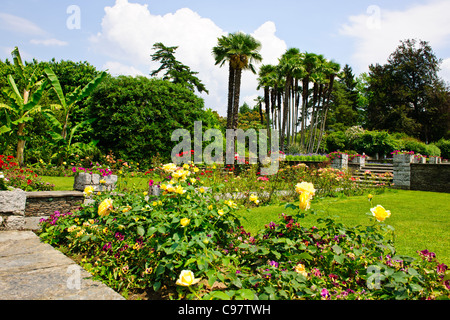 Les Jardins Botaniques de Villa Taranto,,conçu par le capitaine McEacharn,Scotsman 1884-1964,Palanza,Lac Majeur,lacs italiens, Italie Banque D'Images