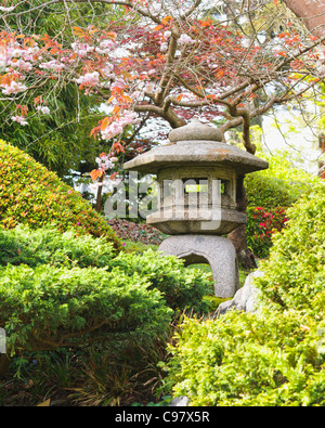 Lanterne de pierre, Japanese Tea Garden, San Francisco Banque D'Images