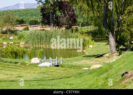 Étang des motifs de Beckmen Winery à Los Olivos, en Californie Banque D'Images