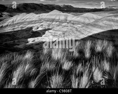 L'herbe et collines peintes. John Day Fossil jumeaux National Monument. Oregon Banque D'Images