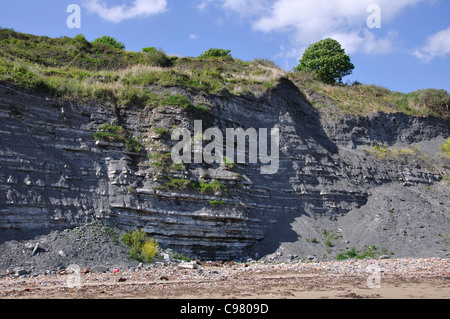 Une section de la Côte Jurassique est de Lyme Regis sur le site du patrimoine mondial UK Banque D'Images