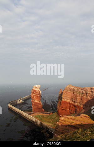 Ligne de falaise de Helgoland avec la grande Anna, l'emblème de Helgoland. Banque D'Images