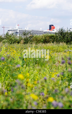 Paquebot Queen Mary 2 derrière un pré au port de Hambourg, ville hanséatique de Hambourg, Allemagne, Europe Banque D'Images