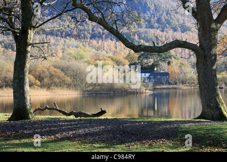 Voir l'ensemble du Frère Crag Derwent water à Keswick en automne, Lake District, Cumbria, Royaume-Uni Banque D'Images