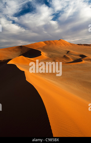 Résumé des dunes de sable Banque D'Images