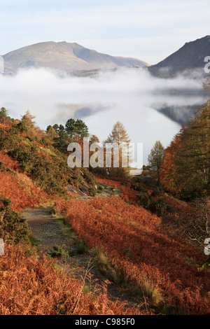 La couleur en automne et brume sur Derwent Water Lake District, Cumbria, Royaume-Uni Banque D'Images