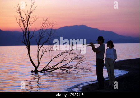 Le lac Salton Année : 2002 USA Chandra West, Val Kilmer Réalisateur : D.J. Caruso Banque D'Images