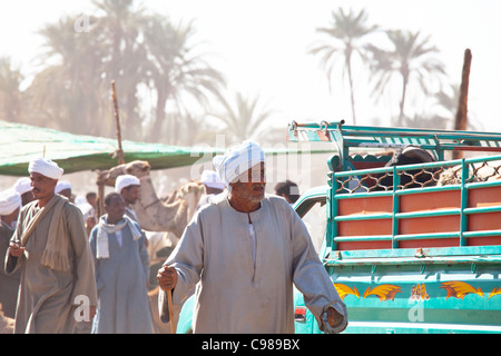 Les peuples arabes sont en négociation et de l'élevage de chameaux hebdomadaire sur le marché le 29 décembre 2009 à près de la ville de Daraw Aswan Banque D'Images