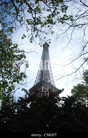 La Tour Eiffel entourée d'arbres. Banque D'Images