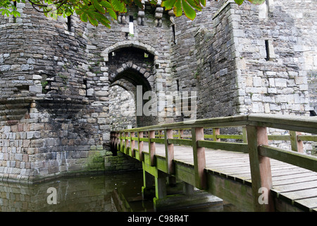 Château de Beaumaris à Anglesey, au Pays de Galles, Royaume-Uni Banque D'Images