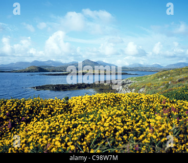 Connemara - vue pittoresque sur Bertraghboy Bay montrant les douze montagnes broches Banque D'Images