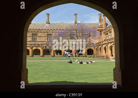 Quadrilatère principal de l'Université de Sydney, Sydney, Australie Banque D'Images