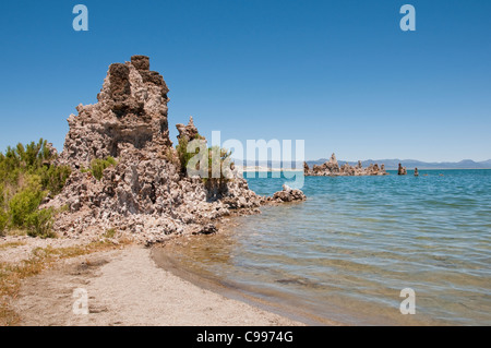 Tufas, Mono Lake ; bassin Mono National Forest Scenic Area, California, États-Unis. Photo copyright Lee Foster. Photo #  Californie120973 Banque D'Images